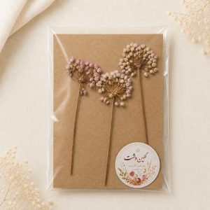 گل تره پرسی خشک طبیعی – طیف سفید، یاسی و صورتی (۳ شاخه)
