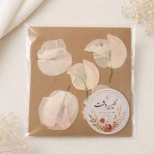 سرگل کاغذی (بوگنویلیا) پرسی خشک طبیعی – طیف سفید و صورتی (۵ عددی)