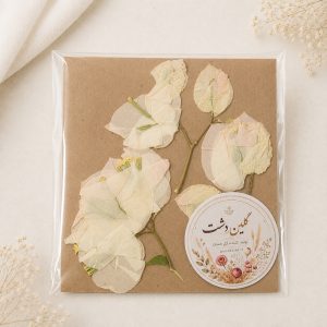 گل کاغذی (بوگنویلیا) پرسی خشک طبیعی – طیف سفید، صورتی و سبز (۳ شاخه)