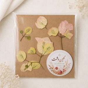 گل کاغذی (بوگنویلیا) پرسی خشک طبیعی – طیف سفید، صورتی و سبز (۴ شاخه)